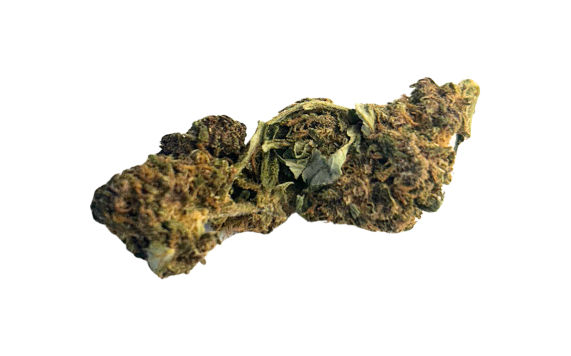 Découvrez la Fleur CBD Premium AK47 chez CBD Bassin à Mios