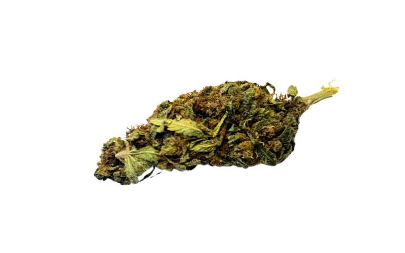 Fleur CBD Orange Bud à Gujan-Mestras
