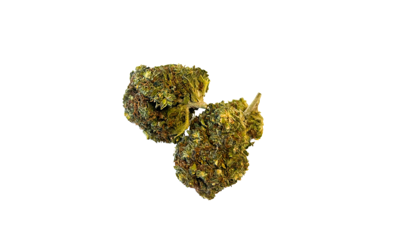 Acheter fleur Blueberry CBD à Mios