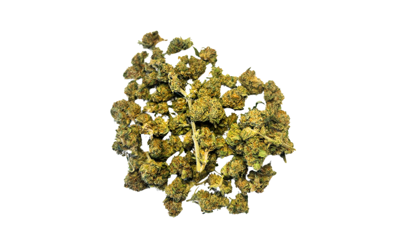 Small Bud Amnesia : Achat en Ligne à Rennes 