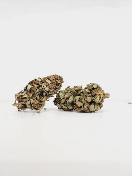 Acheter une fleur de CBD Bubble haze à la teste de Buch