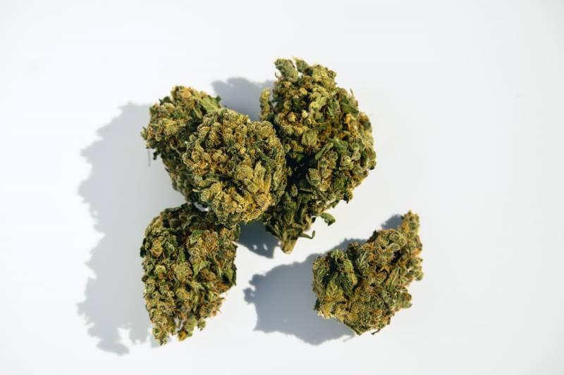 Trouver des fleurs de CBD de qualité premium aux prix le plus raisonnables possible dans notre boutique de CBD ou en livraison express sur Arcachon