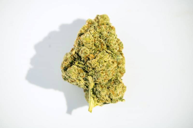Trouver une fleur de CBD indoor de qualité premium White Widow en boutique ou en livraison sur le Bassin d'Arcachon