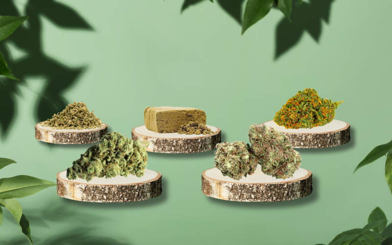 Découvrez les fleurs et Résine CBD à la Dune du Pyla